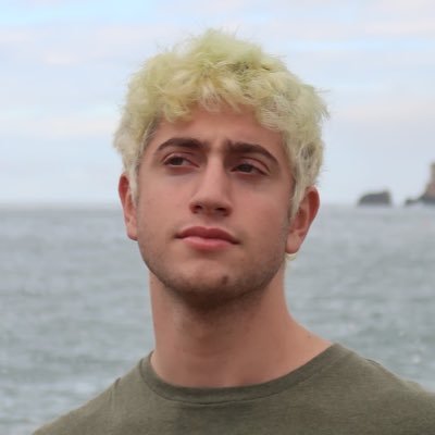 Avi Schiffmann's profile